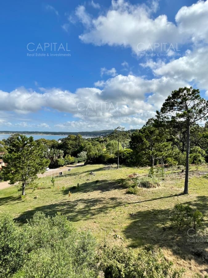 Terreno en Punta Ballena en venta