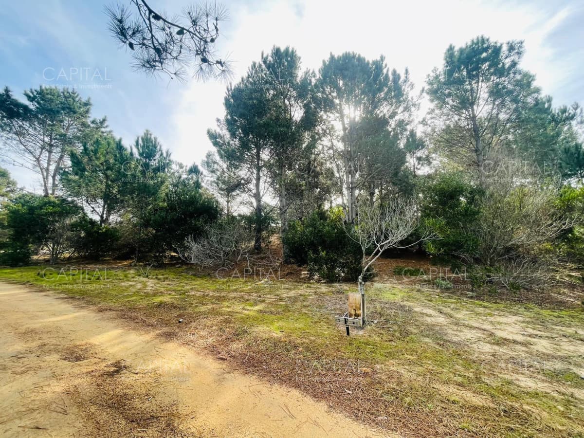 Barrio Privado en Jose Ignacio