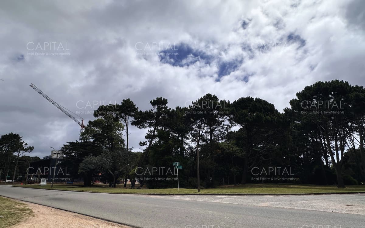 Terreno en Venta sobre Av. Pedragosa Sierra