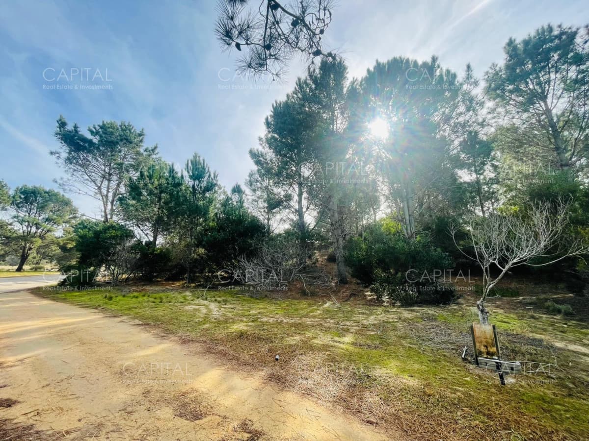 Barrio Privado en Jose Ignacio