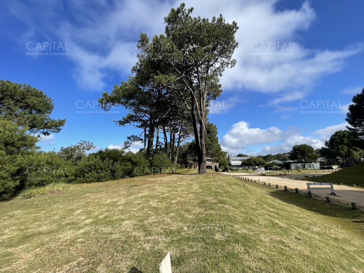 Venta de terreno en Pinar Del Faro, José Ignacio