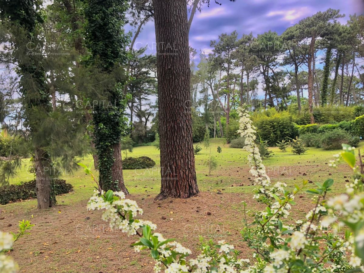 Lote en venta en Playa Brava, Punta del Este