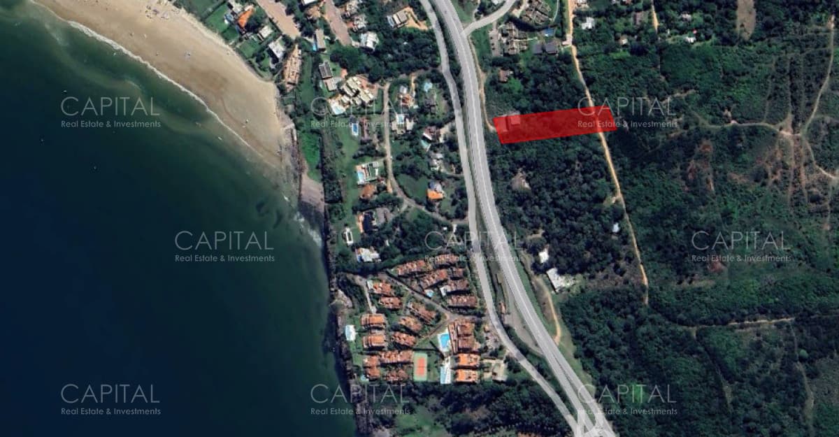 Terreno con vista al Mar ideal para proyecto en Punta Ballena