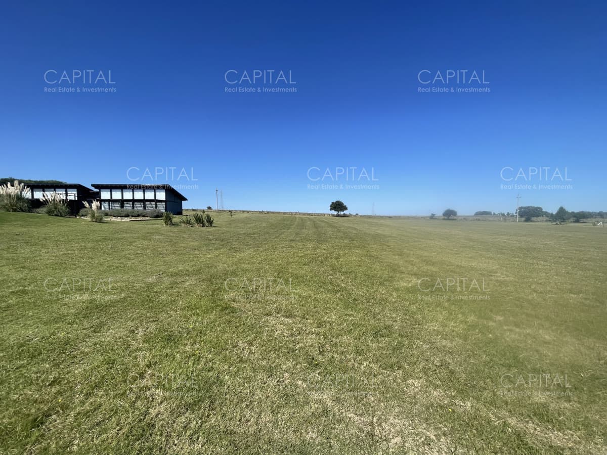 Terreno de 5.000 m² en El Quijote – Oportunidad con Proyecto Opcional