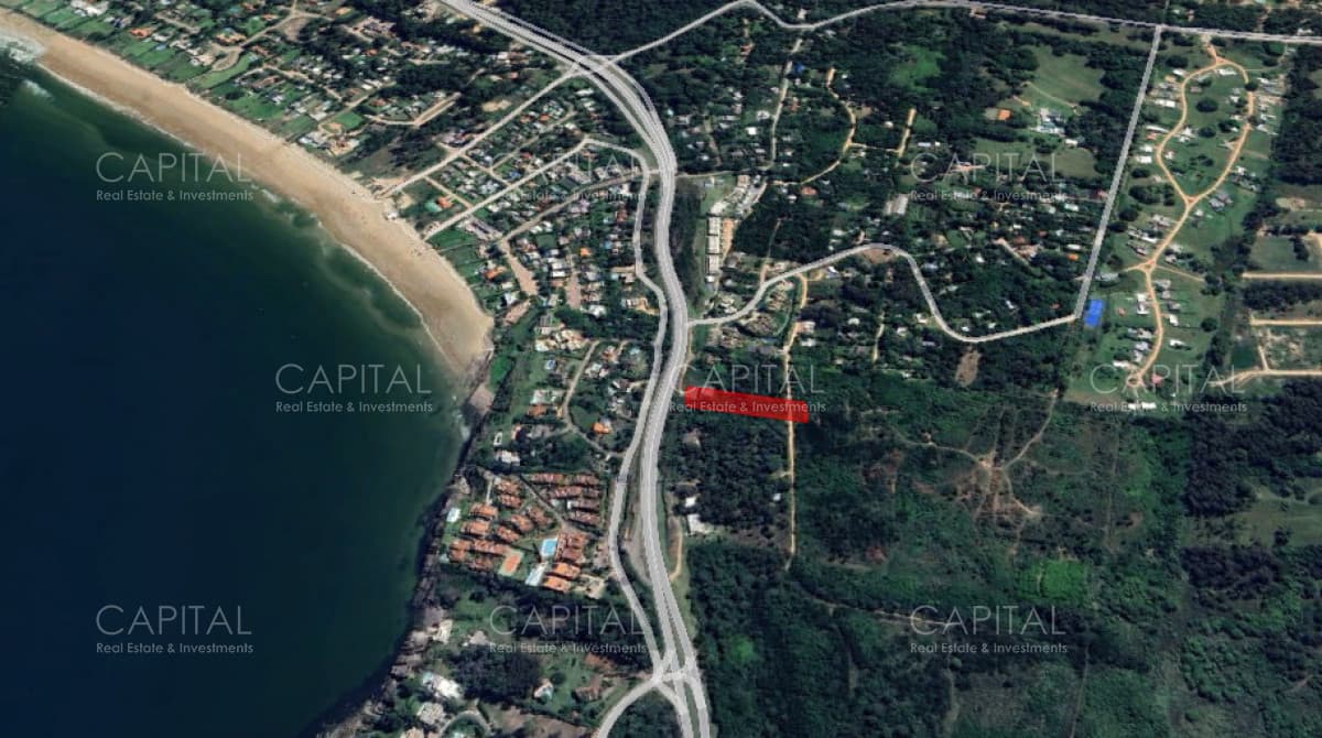 Terreno con vista al Mar ideal para proyecto en Punta Ballena