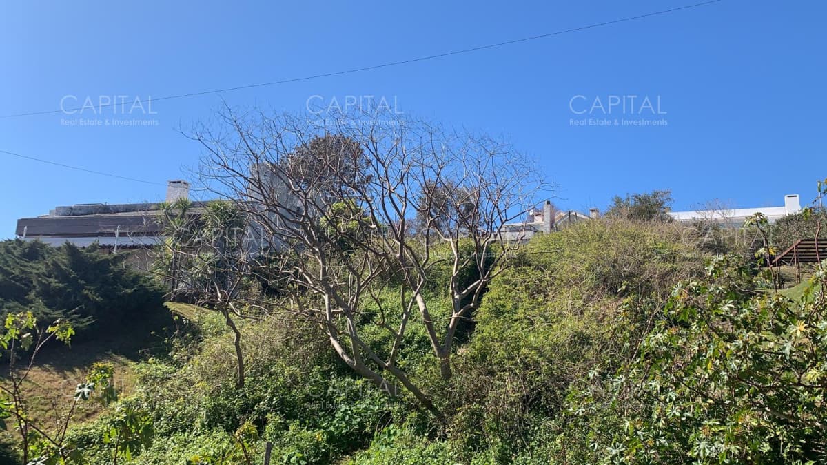 Punta Ballena Terreno en Venta