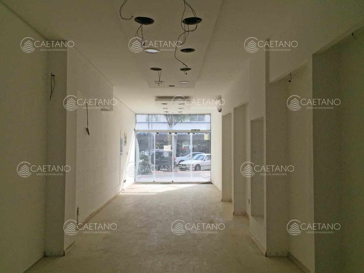 Local en Punta del Este - Venta y Alquiler