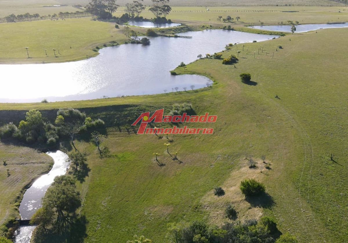 Lote en Venta en Lomas de San Vicente