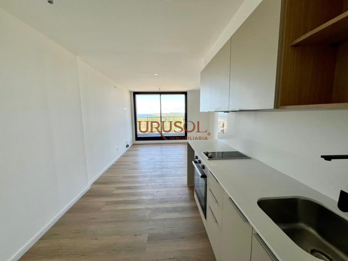 Alquiler apartamento 1 dormitorio vista mar con servicios  -
