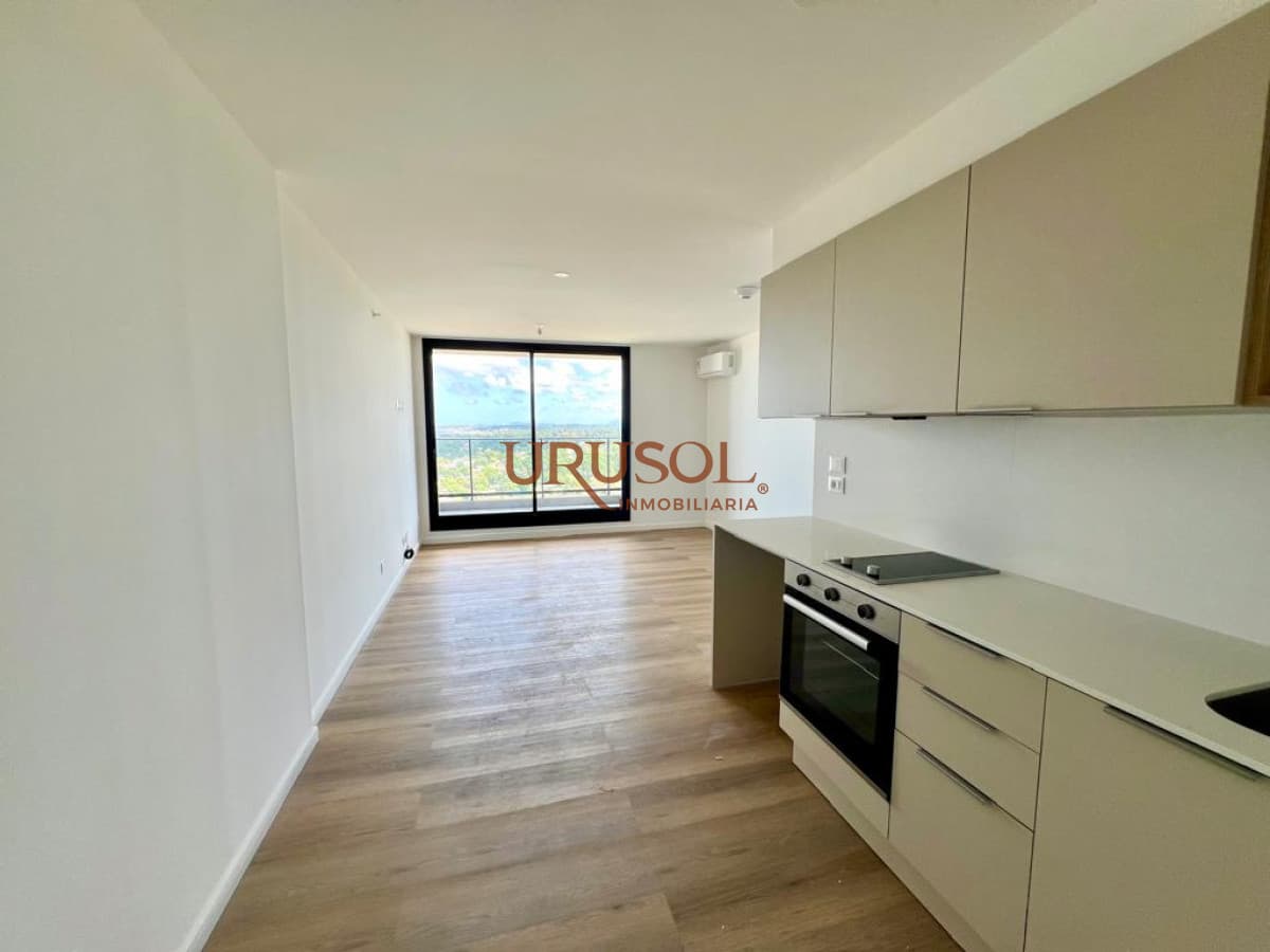 Alquiler apartamento 1 dormitorio vista mar con servicios  -