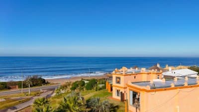 Venta  -