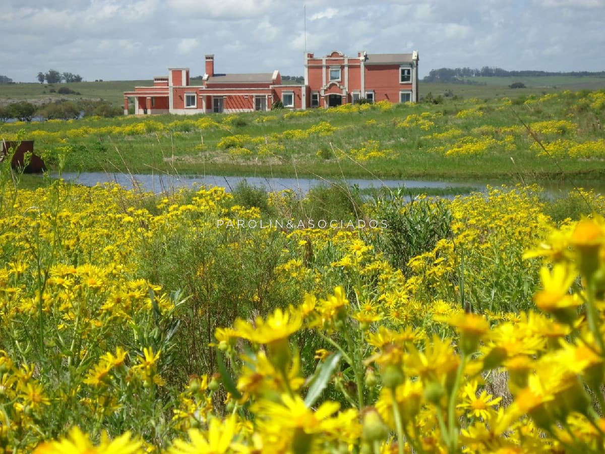 VENTA - EXCEPCIONAL CHACRA EN VENTA EN LAGUNA DEL SAUCE