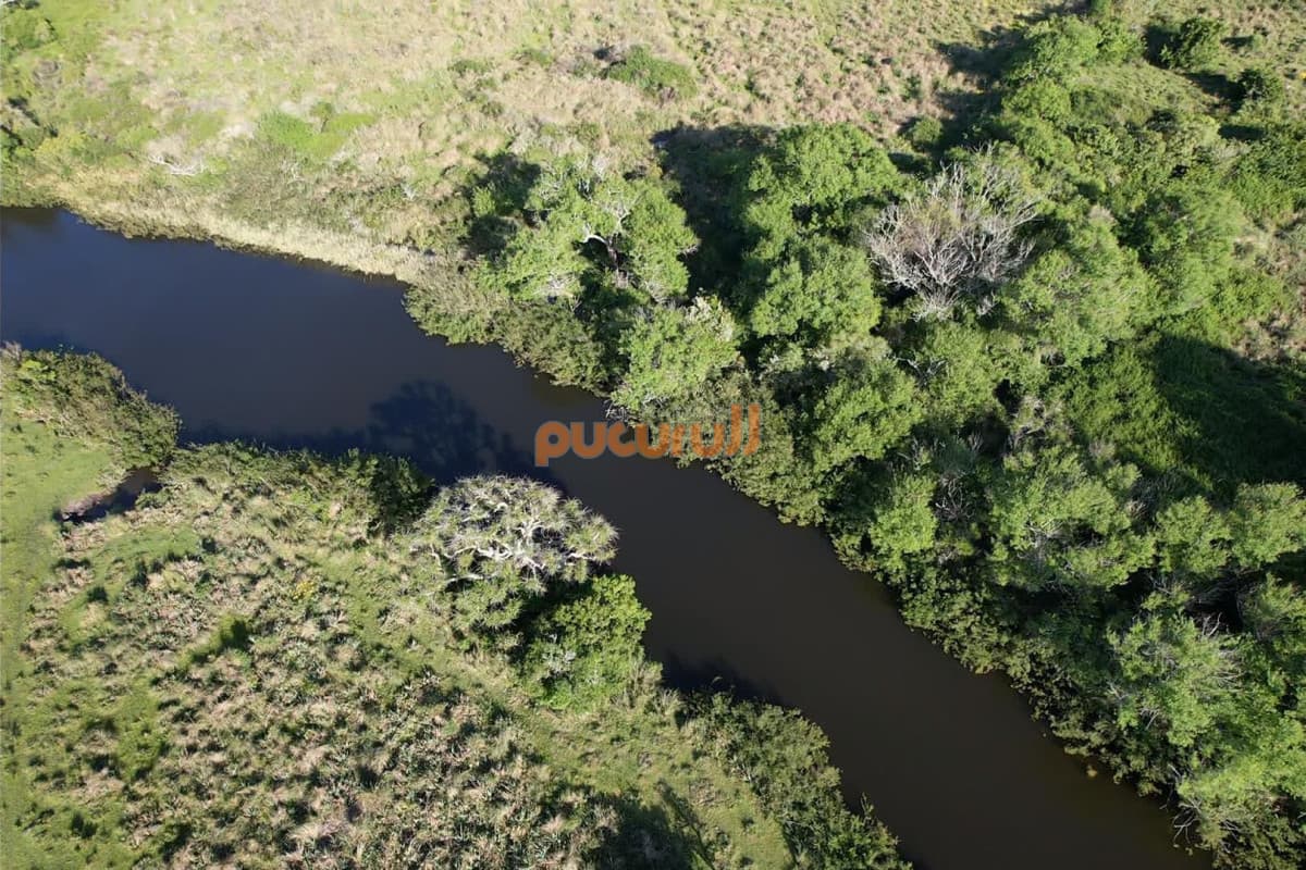 CAMPO EN VENTA EN SAN CARLOS