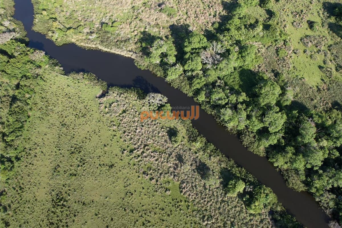 CAMPO EN VENTA EN SAN CARLOS