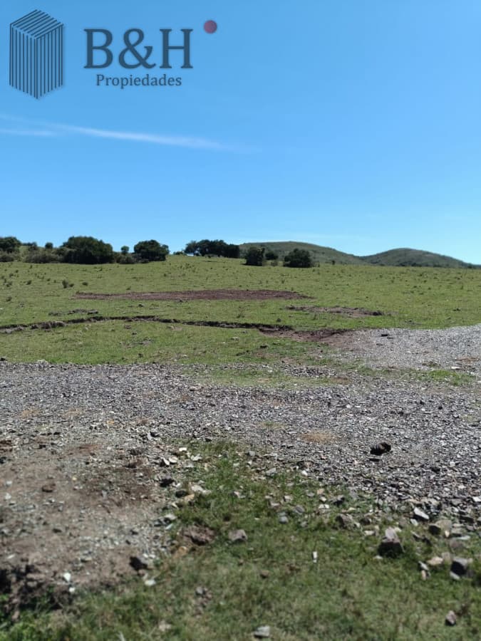 Venta Fraccionamiento Messanno 20 unidades en Lavalleja