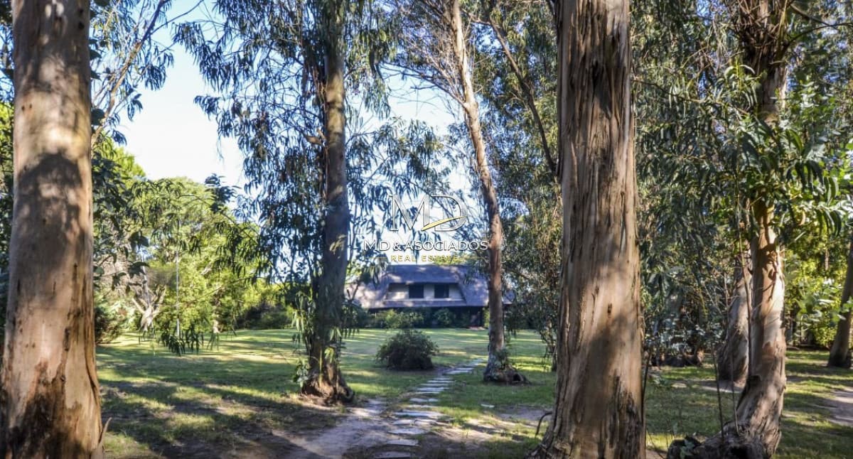 Muy linda chacra en Punta Ballena. REF(9300)