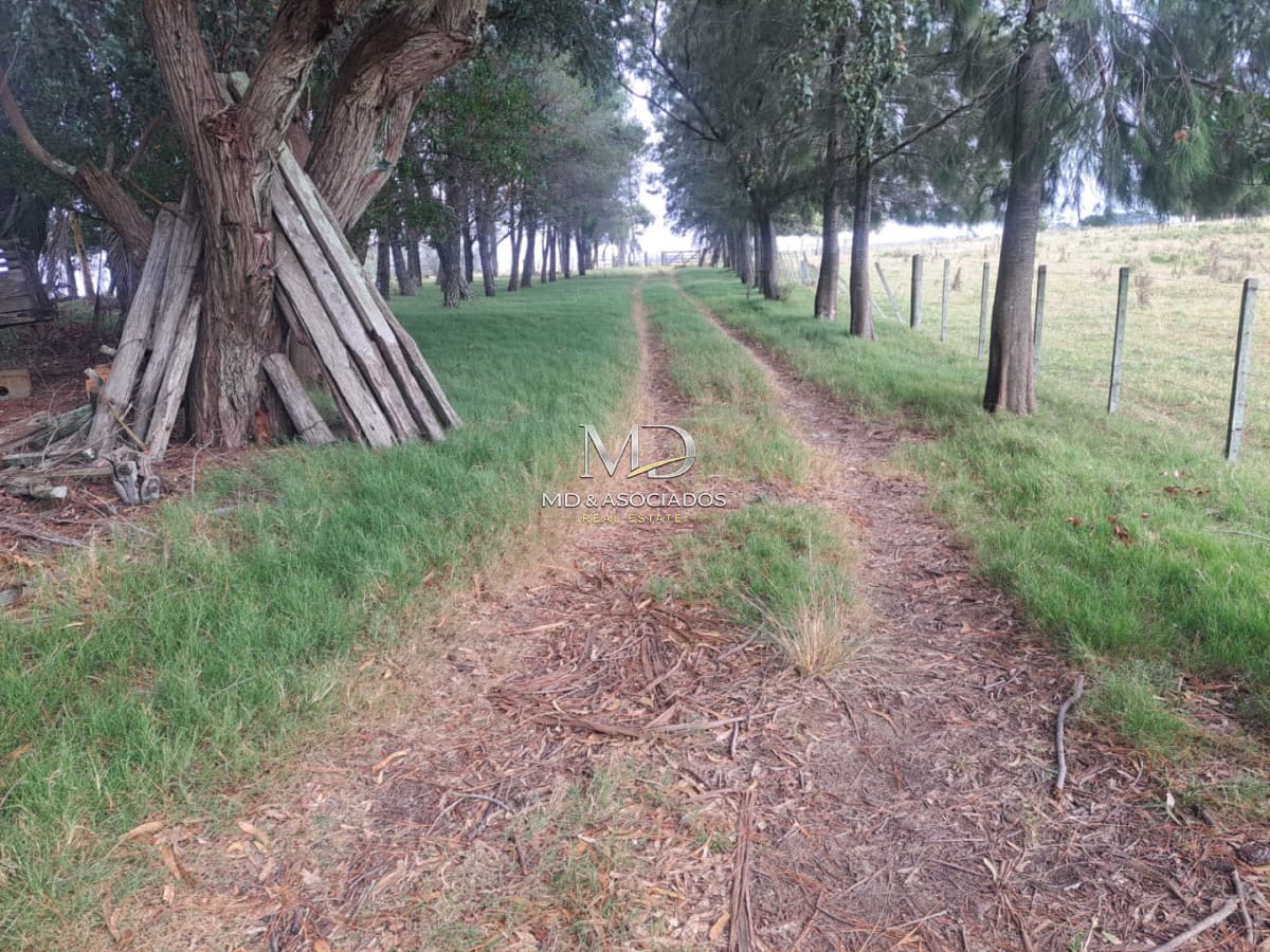 Campo en ,