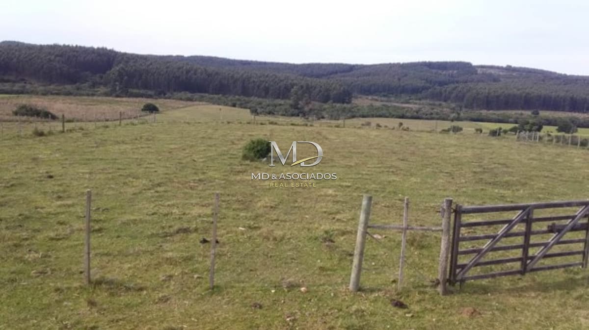 Oportunidad campo a 15 kmts de Rocha