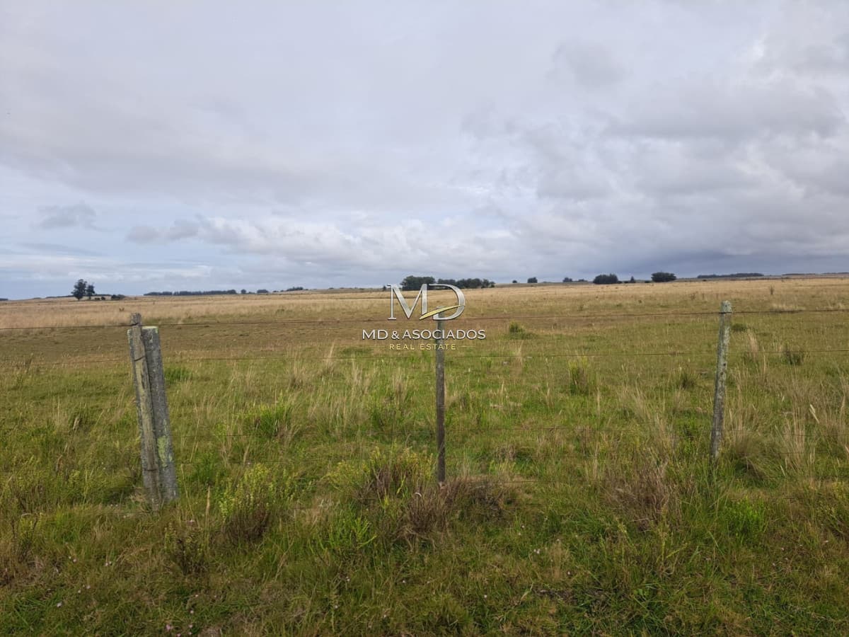 Campo en ,