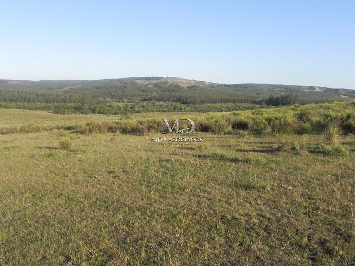 Oportunidad campo a 15 kmts de Rocha