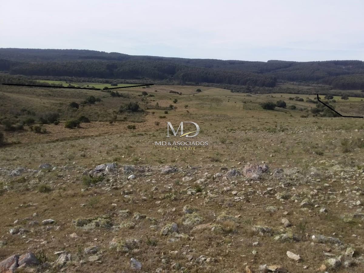 Oportunidad campo a 15 kmts de Rocha