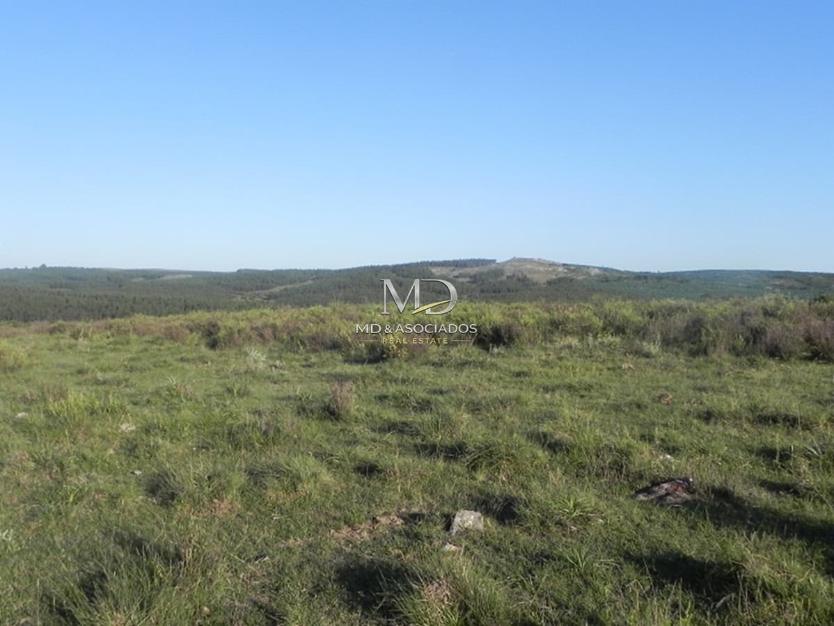 Oportunidad campo a 15 kmts de Rocha