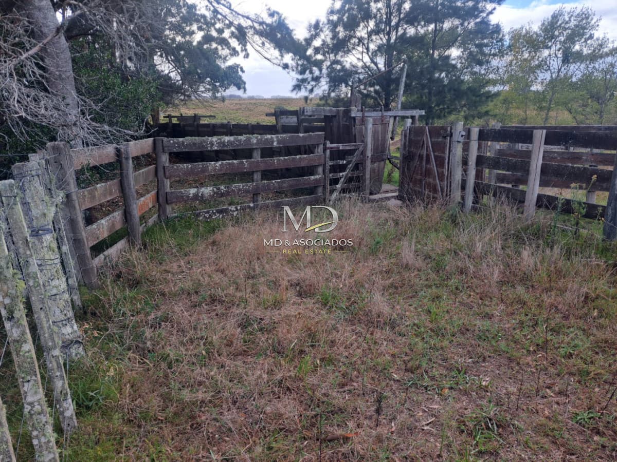 Campo en ,