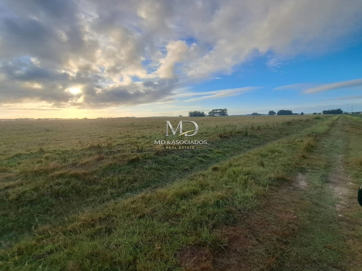 Campo en ,