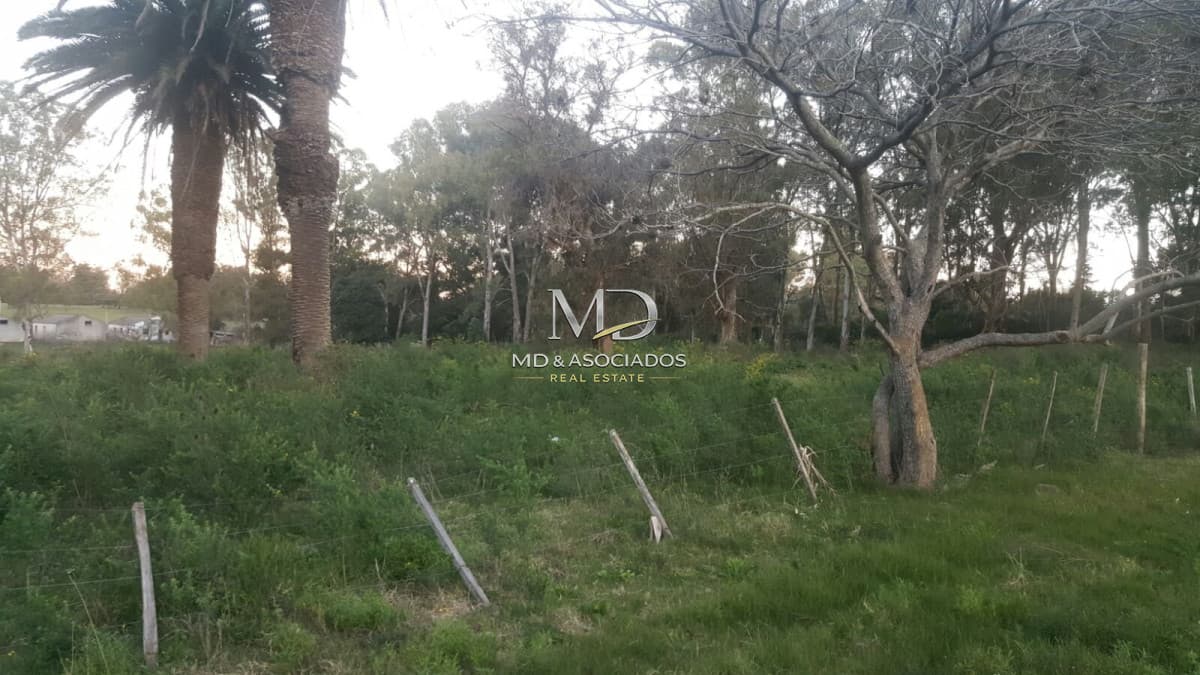 Terreno en Punta Ballena, Camino Lussich