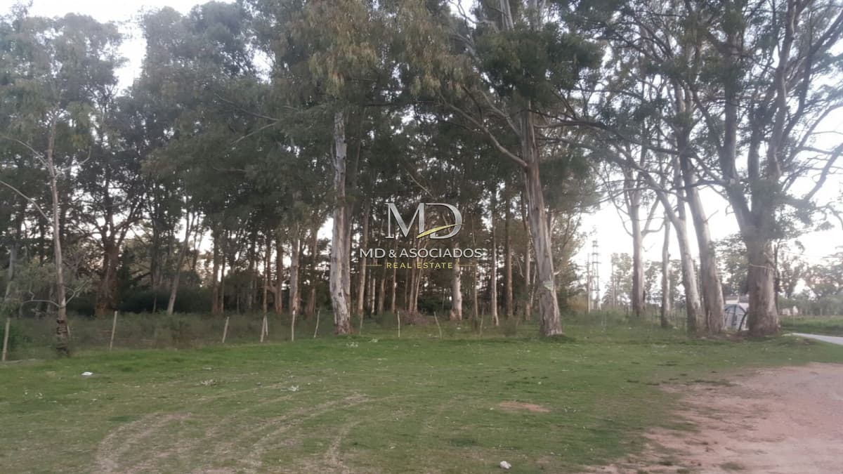 Terreno en Punta Ballena, Camino Lussich
