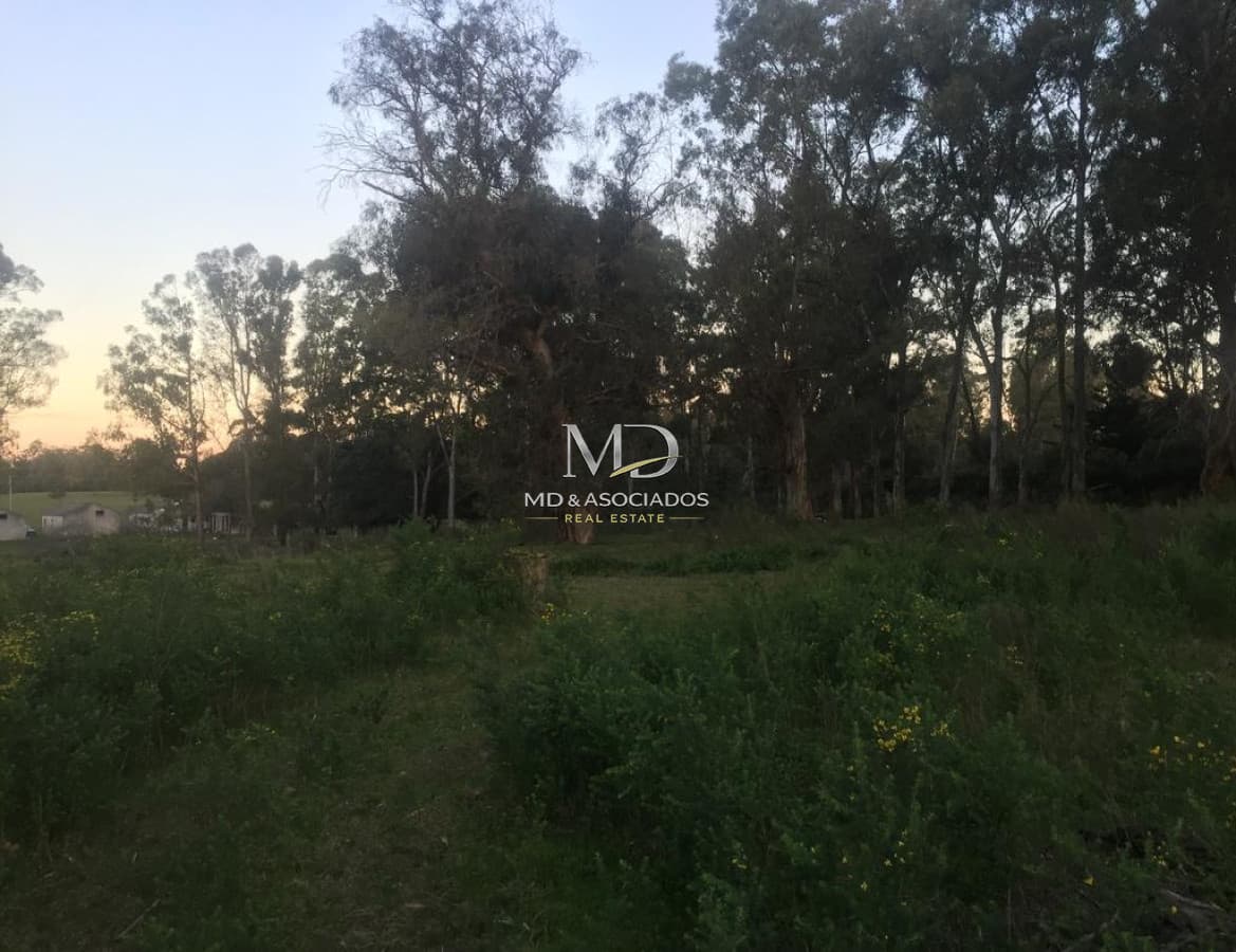 Terreno en Maldonado, Maldonado
