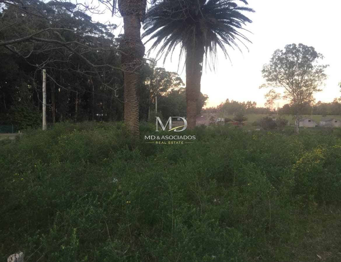 Terreno en Maldonado, Maldonado