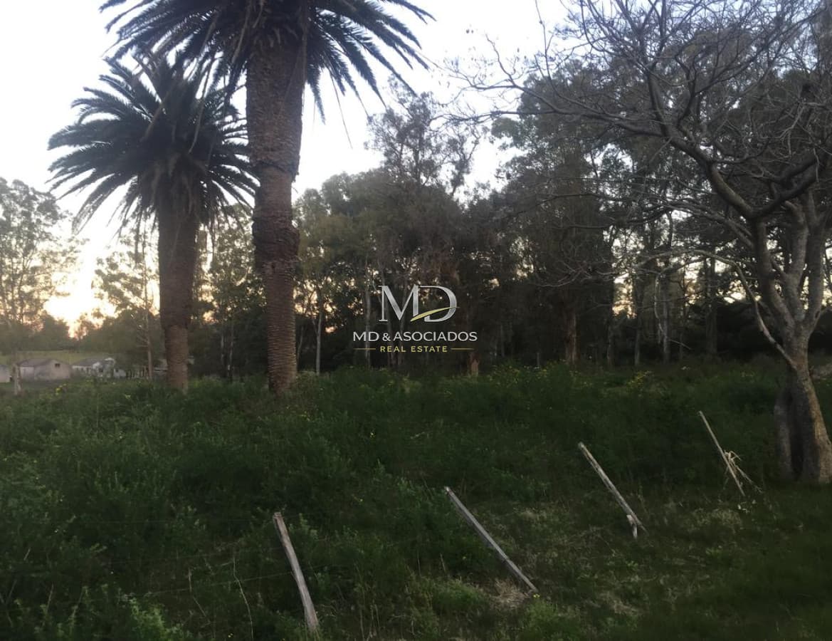 Terreno en Maldonado, Maldonado