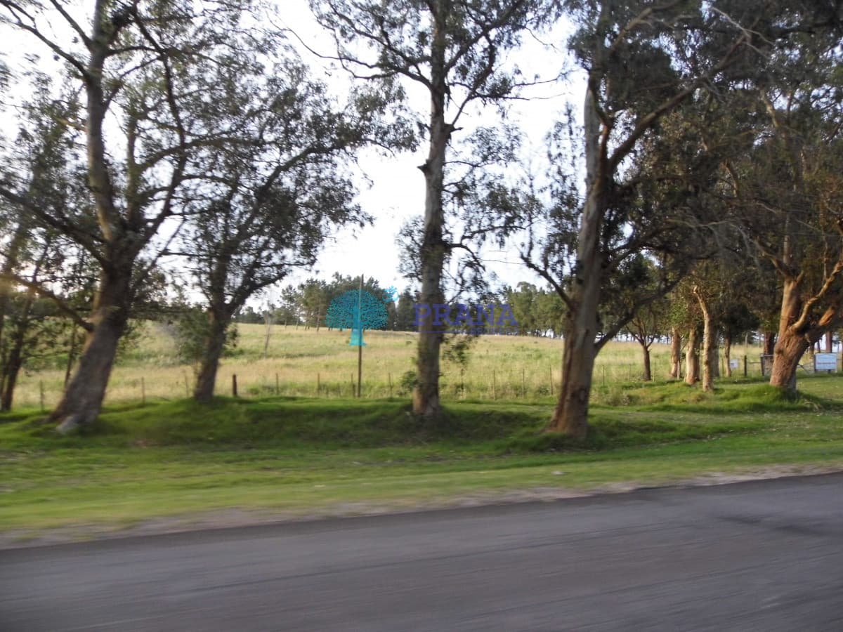 Chacra Ref.952