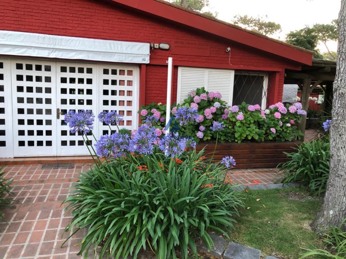 Casa en San Rafael, 4 dormitorios *  -