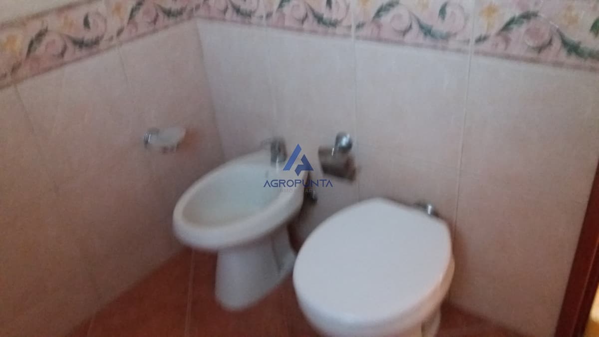 Casa en Venta y Alquiler en Punta del Este