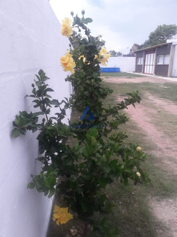 GALPON EN Maldonado
