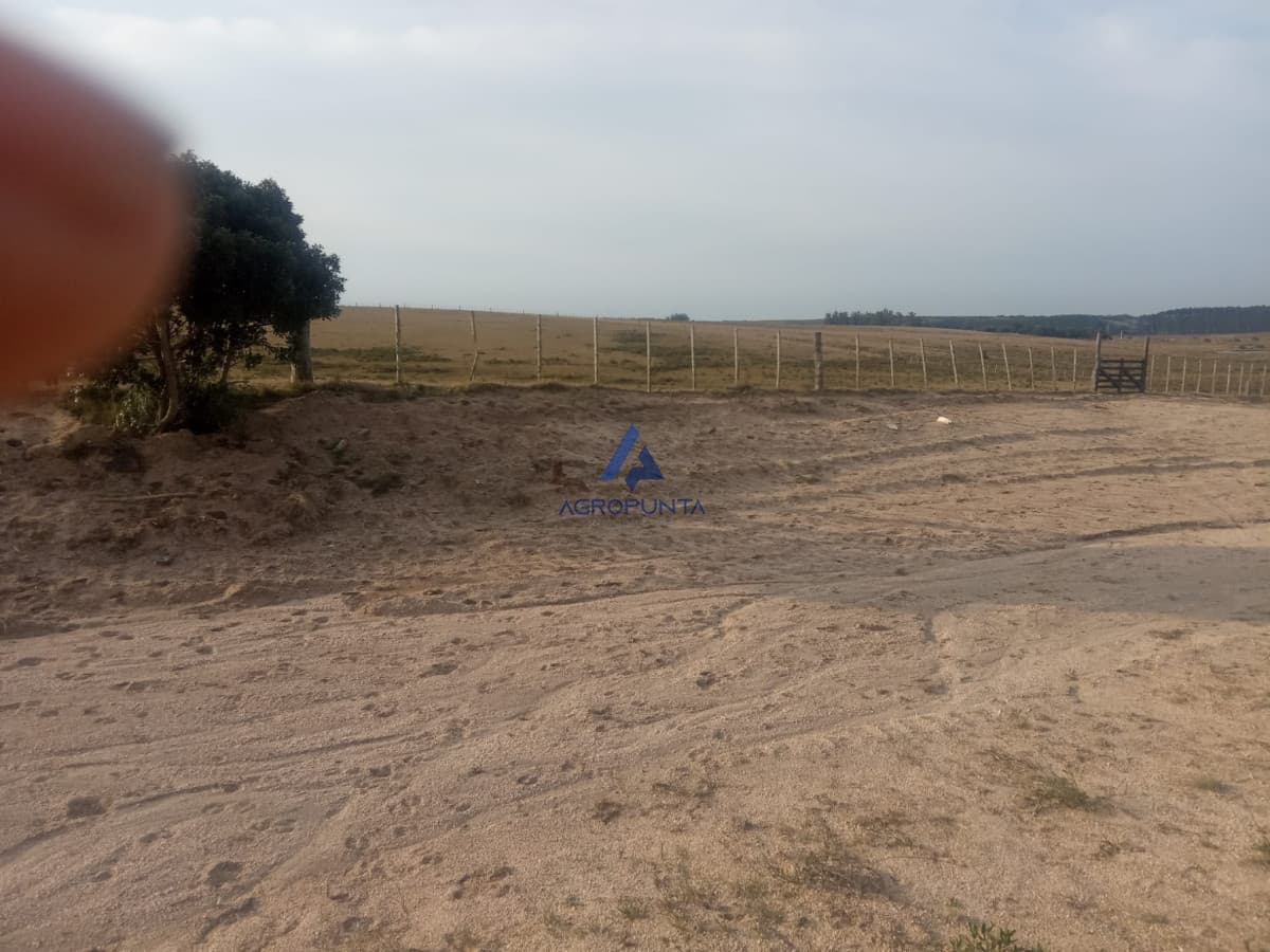 Venta de Chacra