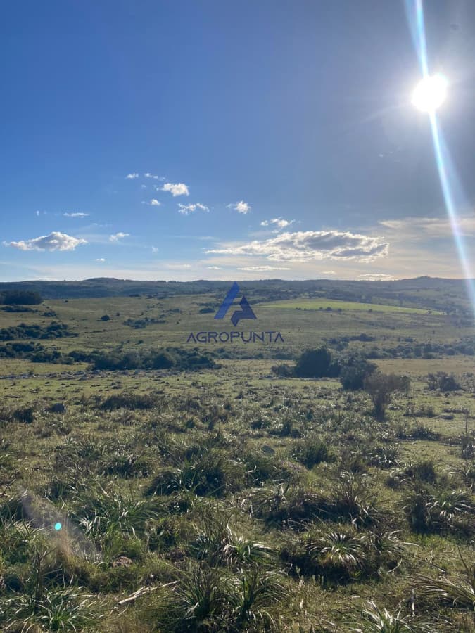 Chacra en Corte de La Leña