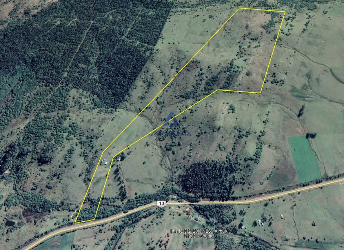 Chacra de 39 hectáreas cercana a Aiguá