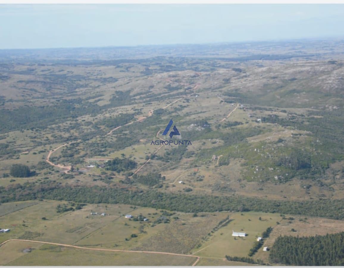 Chacra las Cañas