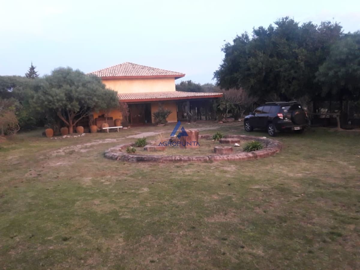 Chacra 38 has