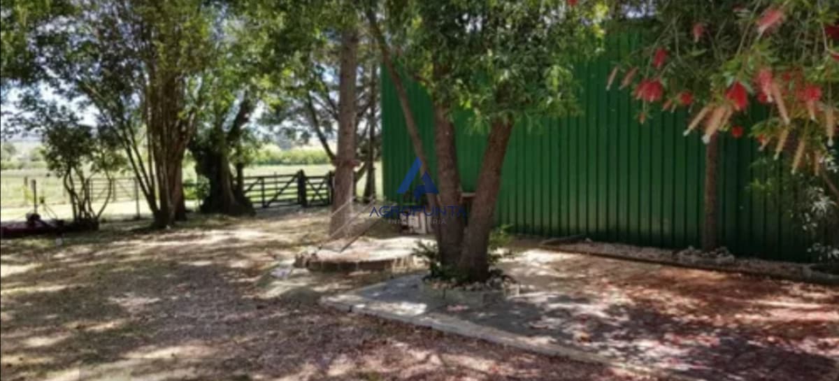 chacra venta ruta 39