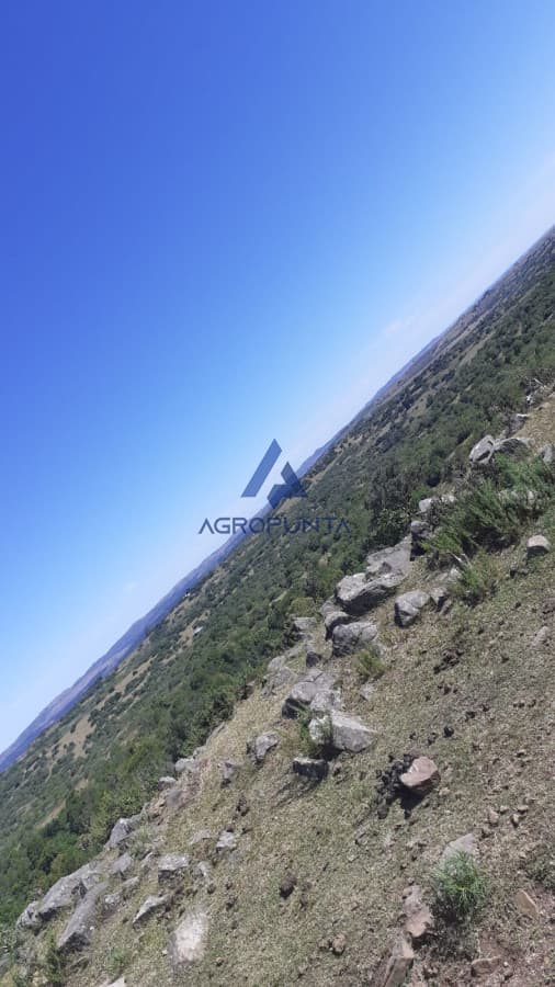 Chacra en ruta 39