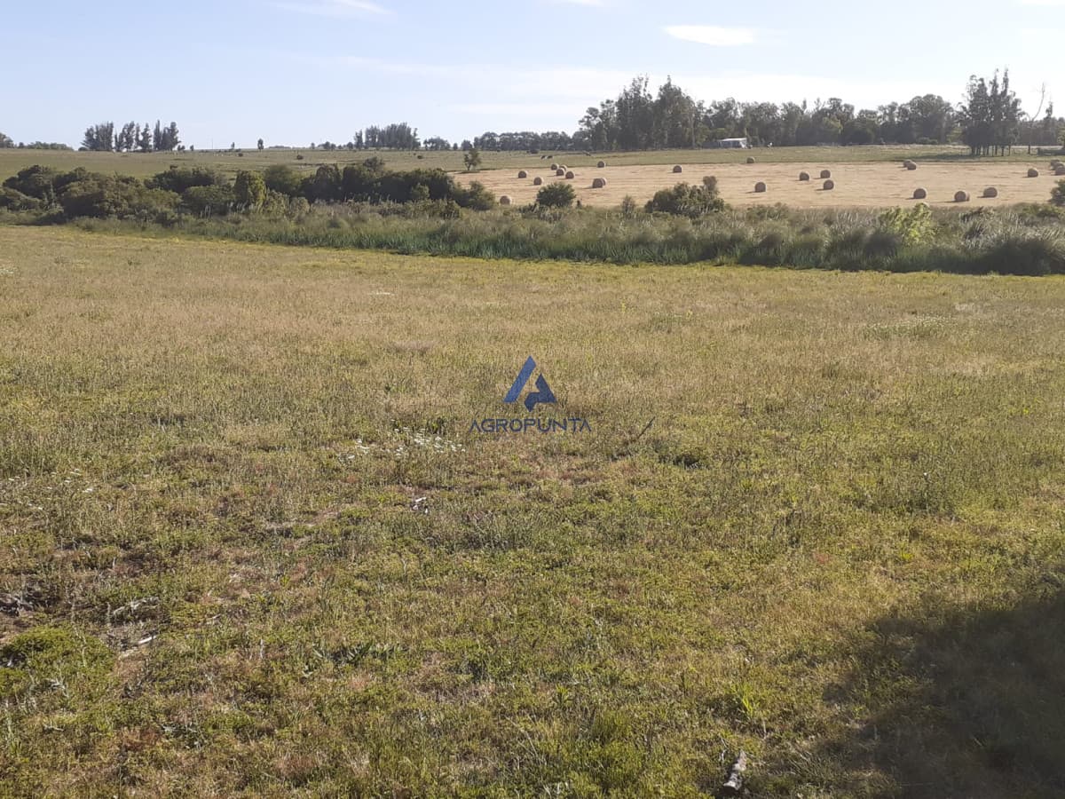 Chacra 23has Ruta 104