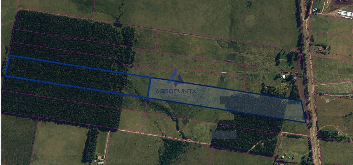 Chacra sobre ruta 104 de 20 hectareas