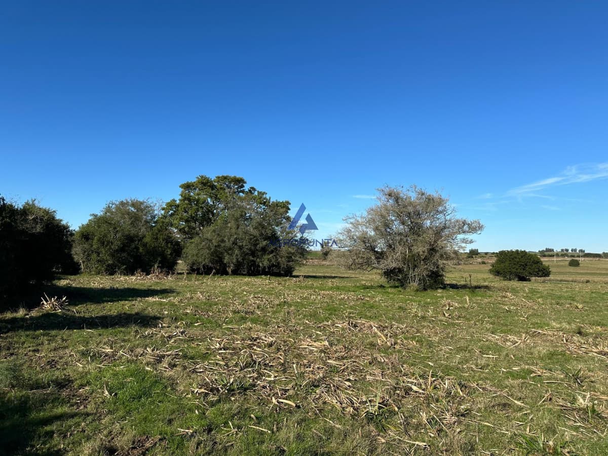 CHACRA 42 HÁS PUEBLO EDÉN