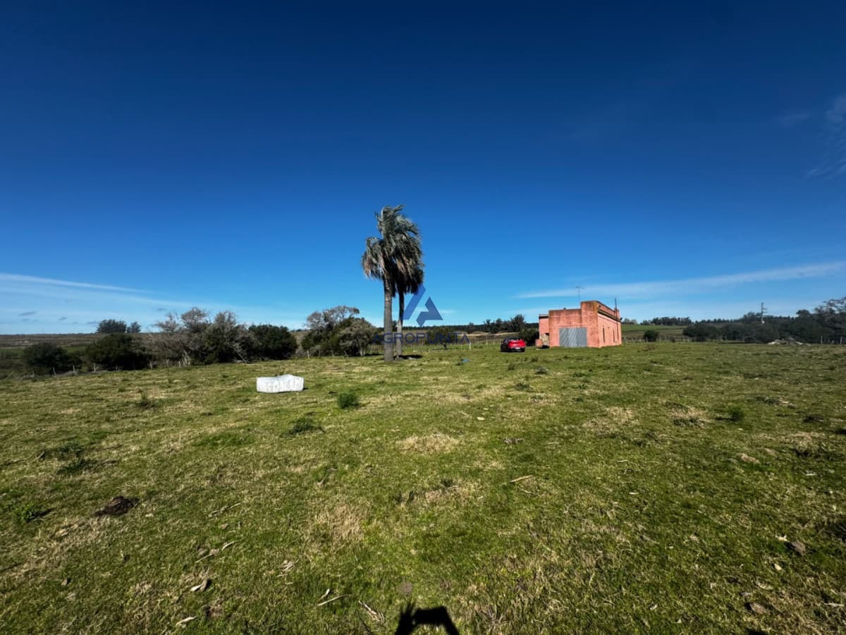 35 HAS EN VENTA A 20 MINUTOS DE SAN CARLOS!