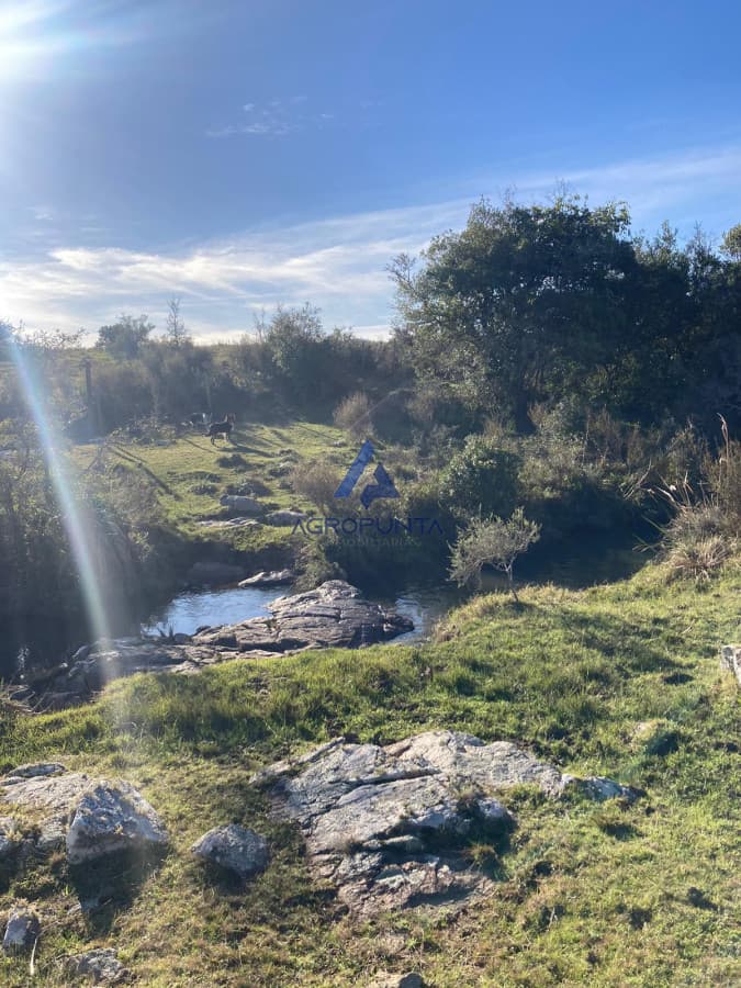 Chacra en Corte de La Leña
