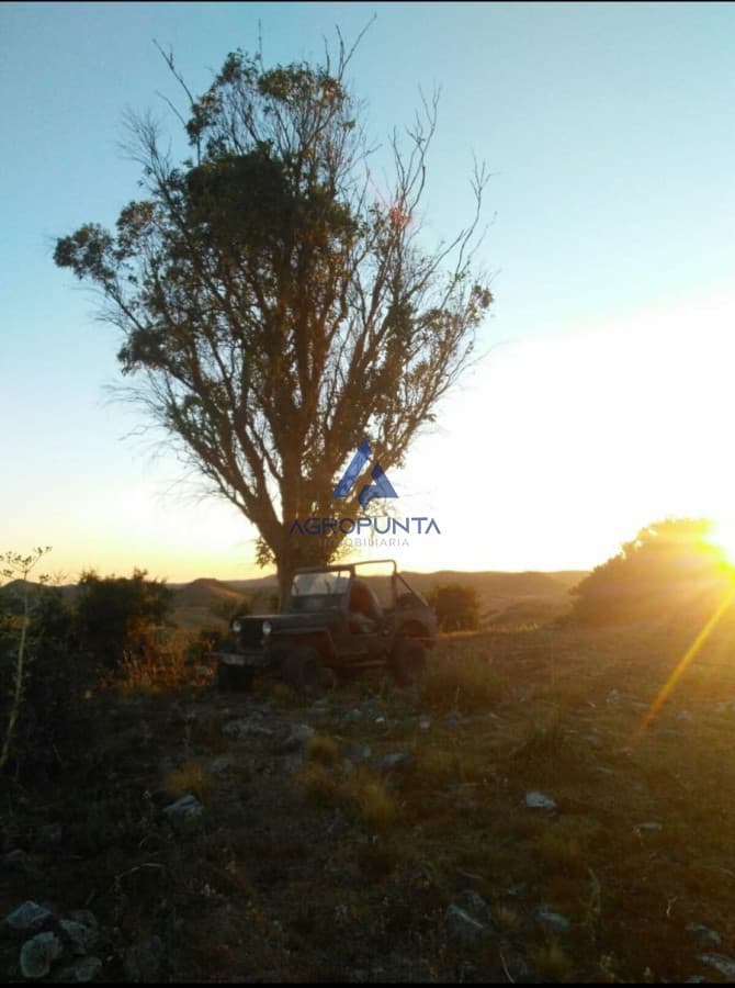 Chacra de 39 hectáreas cercana a Aiguá